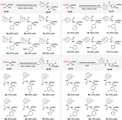 Asymmetric aza-Henry reaction toward trifluoromethyl β-nitroamines and biological investigation of their adamantane-type derivatives